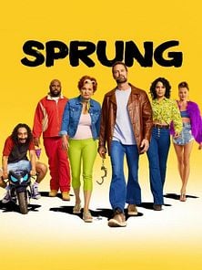 Bild von Sprung Trailer OV