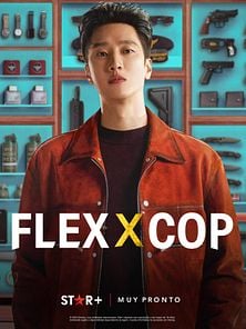 Bild von Flex x Cop - staffel 2 Trailer OmeU