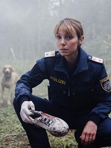 Poster der Serie Das Vergessen - Spurlos im Moor Staffel 1