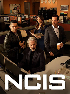Poster der Serie Navy CIS Staffel 22
