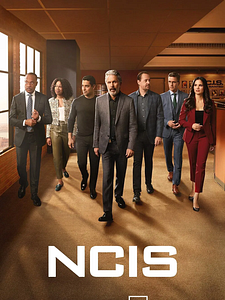 Poster der Serie Navy CIS Staffel 21