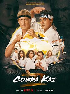 Poster der Serie Cobra Kai Staffel 6
