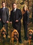 Poster der Serie Without a Trace – Spurlos verschwunden Staffel 7