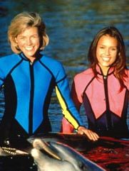 Poster der Serie Flippers neue Abenteuer Staffel 4