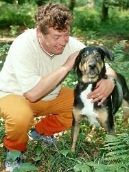 Poster der Serie Die Camper Staffel 9