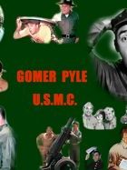 Poster der Serie Gomer Pyle, U.S.M.C. Staffel 5
