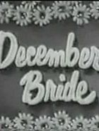 Poster der Serie December Bride Staffel 5