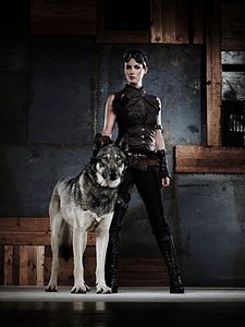 Poster der Serie Riese: Kingdom Falling Staffel 2