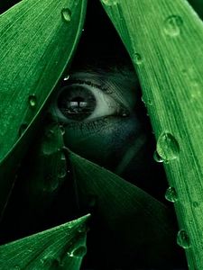 Poster der Serie The River Staffel 1
