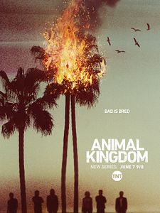 Poster der Serie Animal Kingdom Staffel 6