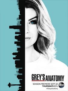 Poster der Serie Grey's Anatomy - Die jungen Ärzte Staffel 13