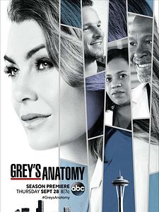 Poster der Serie Grey's Anatomy - Die jungen Ärzte Staffel 14