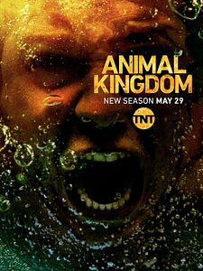 Poster der Serie Animal Kingdom Staffel 3