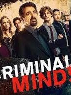 Poster der Serie Criminal Minds Staffel 15