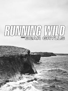 Poster der Serie Bear Grylls: Stars am Limit Staffel 3