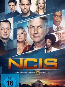 Poster der Serie Navy CIS Staffel 17