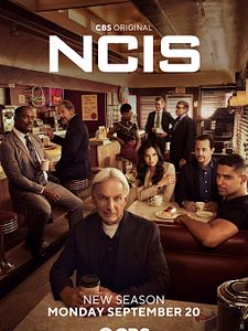 Poster der Serie Navy CIS Staffel 19
