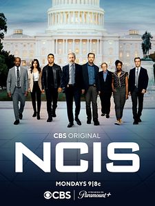 Poster der Serie Navy CIS Staffel 20