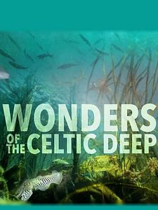 Poster der Serie Wunder der Keltischen See Staffel 1