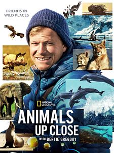 Poster der Serie Tiere hautnah mit Bertie Gregory Staffel 1