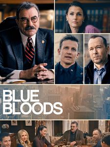 Poster der Serie Blue Bloods Staffel 13