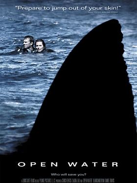 Poster der Open Water