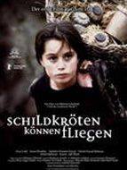 Poster der Schildkröten können fliegen