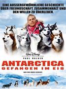 Poster der Antarctica - Gefangen im Eis