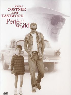 Poster der Perfect World