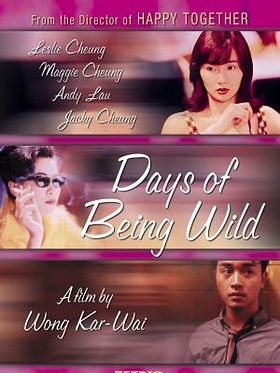 Poster der Days Of Being Wild