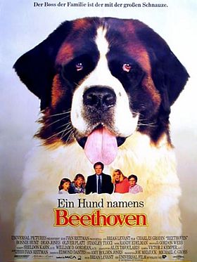 Poster der Ein Hund namens Beethoven