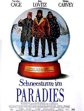 Poster der Schneesturm im Paradies