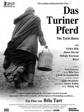 Poster der Das Turiner Pferd