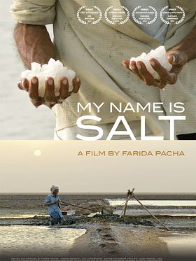 Poster der My Name Is Salt