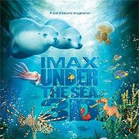 Bilder Under The Sea