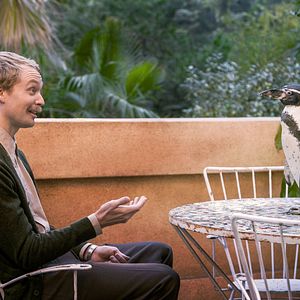 Bilder Der Pinguin meines Lebens