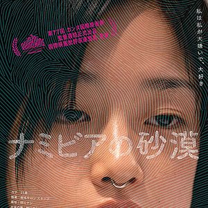 Bilder Namibia no sabaku