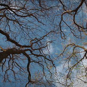 Bilder Das Ungesagte