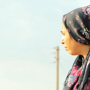 Bilder Tevî her tiştî – Trotz alledem