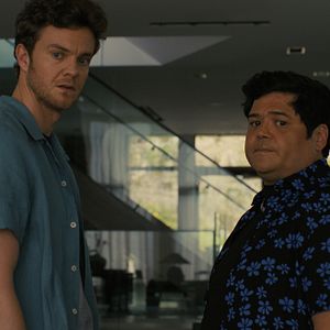 Bilder Companion - Die perfekte Begleitung