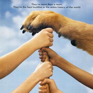 Bilder Herkules und die Sandlot-Kids