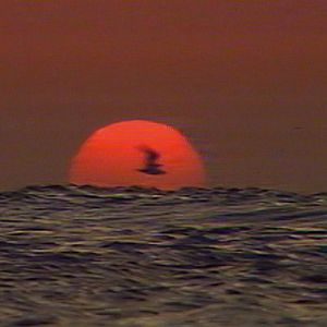 Bilder Israel Palestina i svensk tv 1958-1989