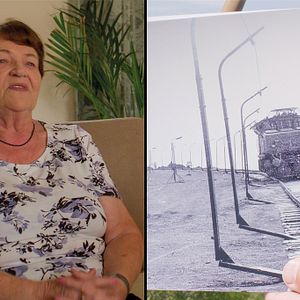 Bilder Stolz & Eigensinn