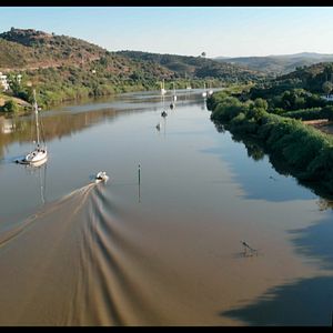 Bilder Watching You - Die Welt von Palantir und Alex Karp