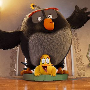 Bilder The Angry Birds 3 - Der Film