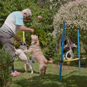 Bilder Nicht ohne meine Tiere