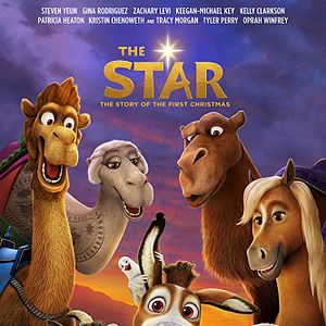 Bilder Bo und der Weihnachtsstern