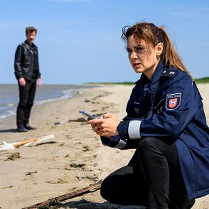 Bilder Friesland: Sturmmöwen