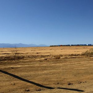 Bilder Wir werden alle sterben!