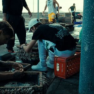 Bilder Weißes Meer: Die surreale Story von Rabo de Peixe